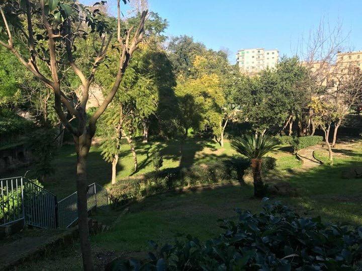 Parco Viviani, una porzione di verde restituita alla città