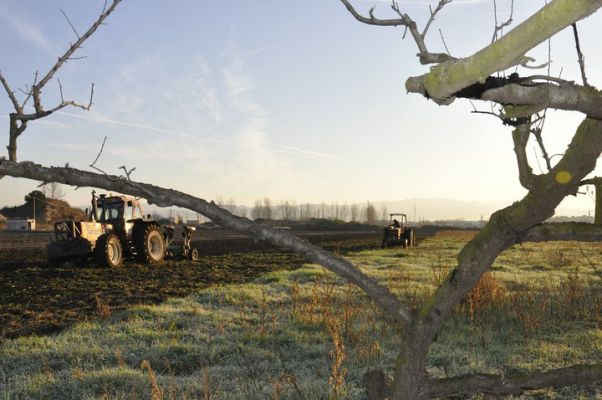 Masseria Ferraioli. I cittadini sono invitati a prendersi cura di un pezzo di terra 