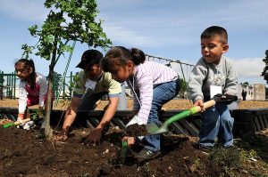 Il bambino conservatore del verde urbano