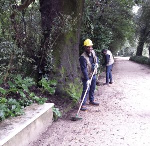 Gli Accolti Attivi impegnati nelle aree verdi della Reggia di Caserta ed al Giardino Flora