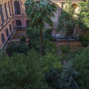 Giardino prima del restauro, Accademia delle Belle Arti Napoli