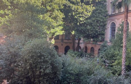 Il giardino prima del restauro, foto 10