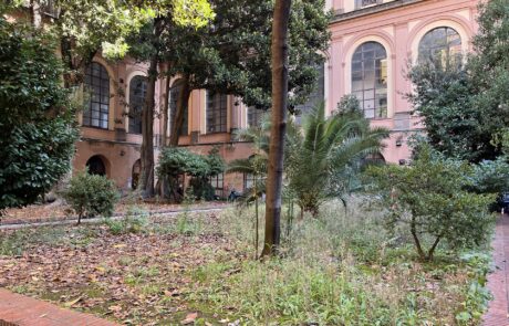 Il giardino prima del restauro, foto 12