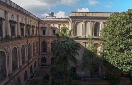 Il giardino prima del restauro, foto 16