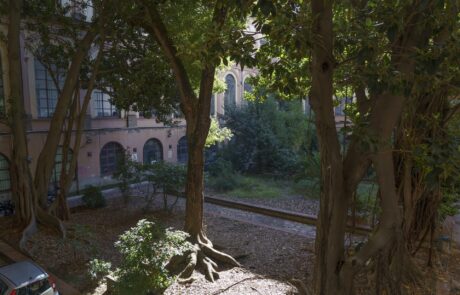 Il giardino prima del restauro, foto 4