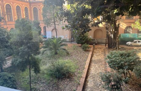 Il giardino prima del restauro, foto 9