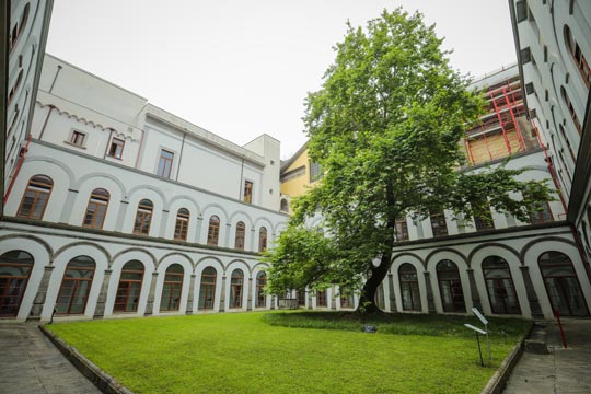 Atro del Platano