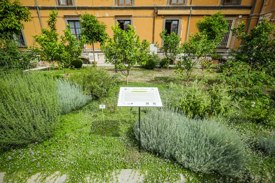 Giardino degli Agrumi